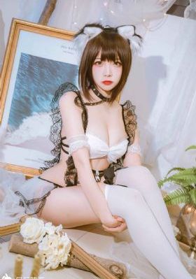 台北女子图鉴 电视剧