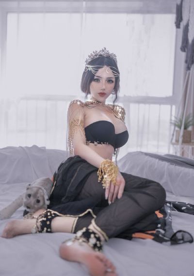 明神亚贵12集全集免费